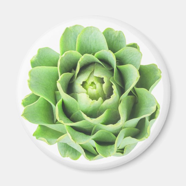 Artichoke Magnet (Vorne)