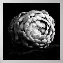 Artichoke Nahe Schwarz-Weiß-Fotografie