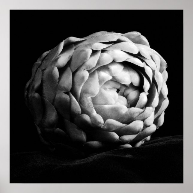 Artichoke Nahe Schwarz-Weiß-Fotografie Poster (Vorne)