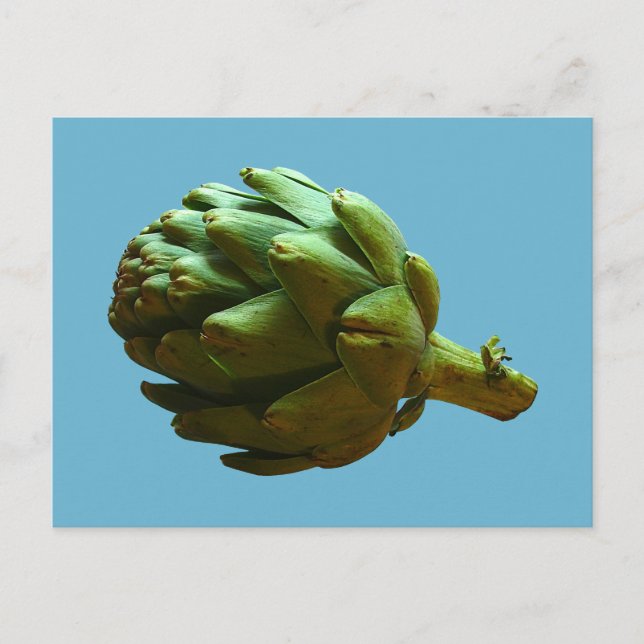 Artichoke Postkarte (Vorderseite)