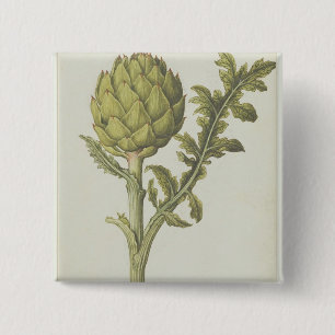 Artischocke: Cynara Scolymus, c.1568 Button