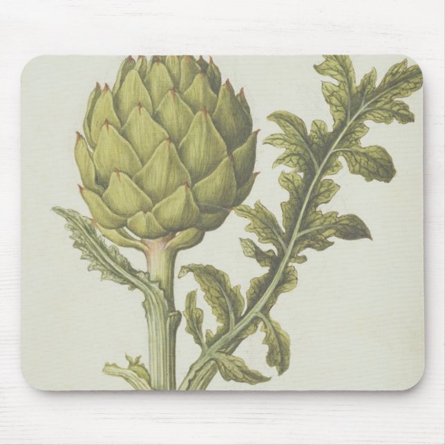 Artischocke: Cynara Scolymus, c.1568 Mousepad (Vorne)