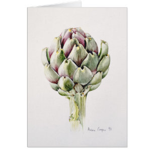 Artischocken-Studie 1993