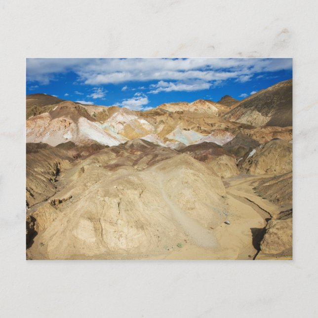 Artist Palette Postkarte (Vorderseite)