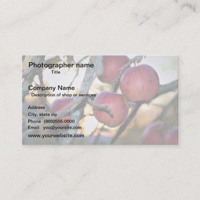 Artist/Photographer/Digital Art Visitenkarte (Vorderseite)