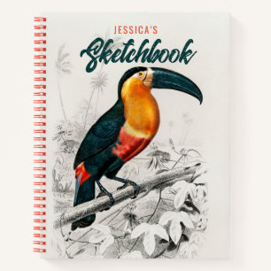 Artist Zeichnend Toucan Bird Sketchbook Individuel Notizbuch