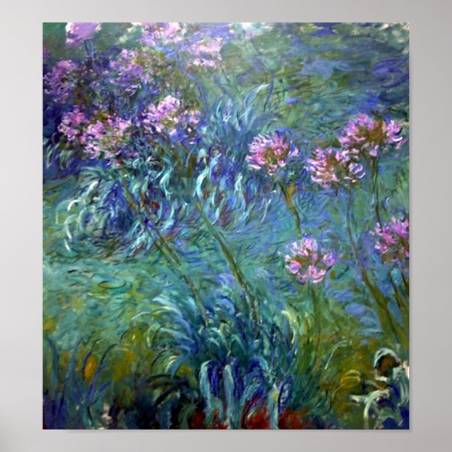 Artistic Agapanthus Fine Art Blume Poster (Vorne)