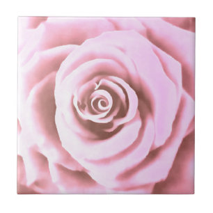 Artistic Big Bale Pink Rose Fliese