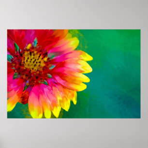 Artistic rendition of Indian Blanket flower Poster