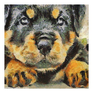 Artistic Rottweiler Puppy Portrait Fotodruck