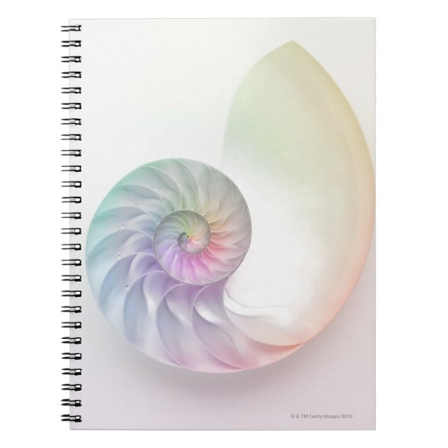 Artistisches Nautilus-Bild Notizblock (Vorderseite)