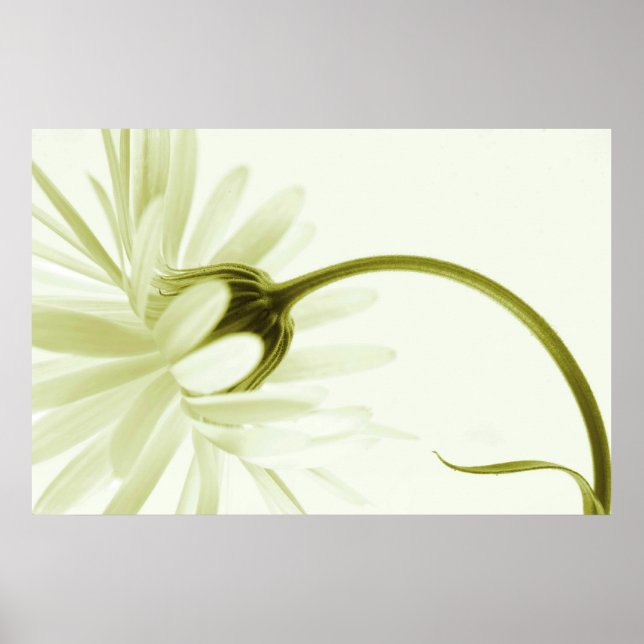 Artless Poster (Vorne)