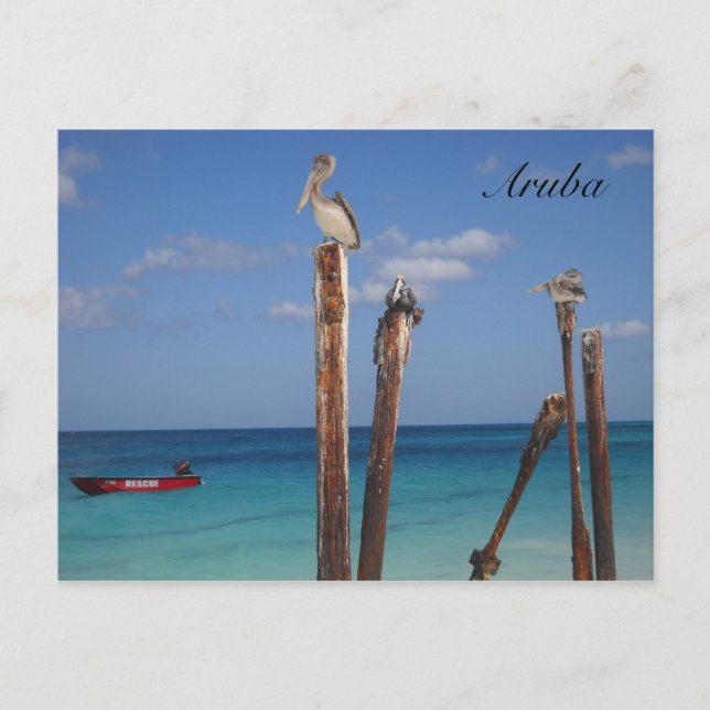 Aruba, Blauer Himmel im Paradies Postkarte (Vorderseite)