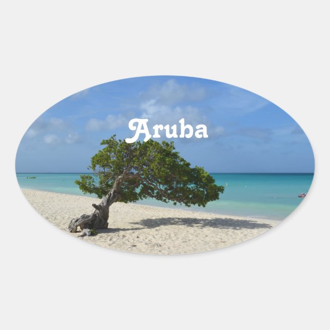 Aruba Divi Divi Tree Ovaler Aufkleber (Vorderseite)