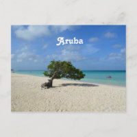 Aruba Divi Divi Tree