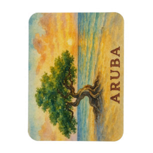 Aruba Eagle Beach Divi Baum Goldene Stunde Magnet