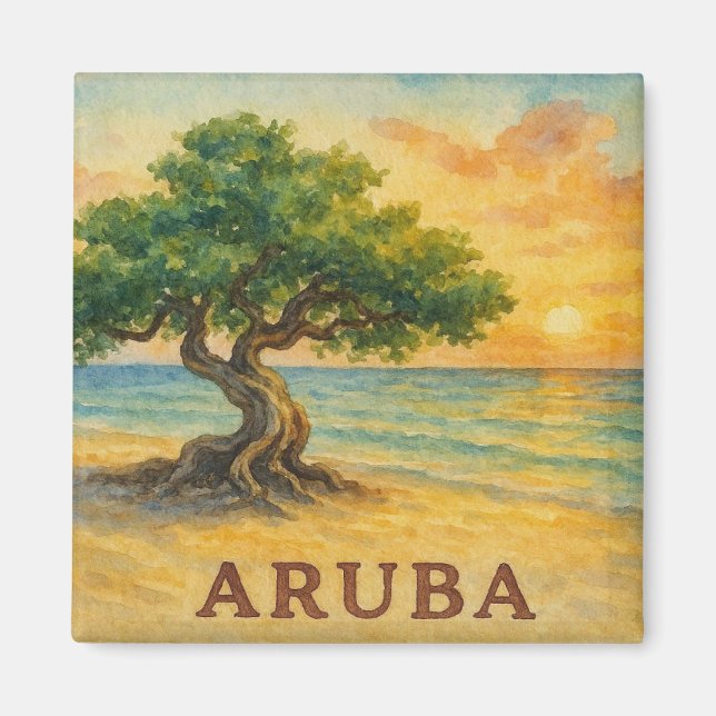Aruba Eagle Beach Divi Baum Goldene Stunde Magnet (Vorne)