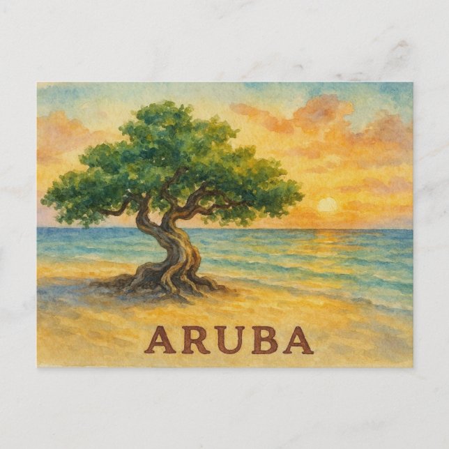 Aruba Eagle Beach Divi Baum Goldene Stunde Postkarte (Vorderseite)
