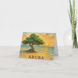 Aruba Eagle Beach Divi Tree Golden Hour