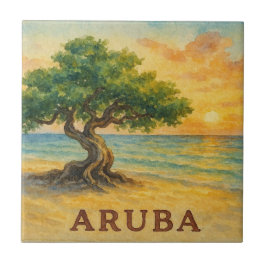 Aruba Eagle Beach Divi Tree Golden Hour Fliese