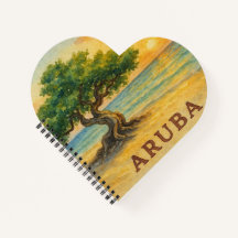 Aruba Eagle Beach Divi Tree Golden Hour