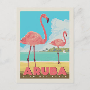 Aruba Flamingo-Strand Postkarte