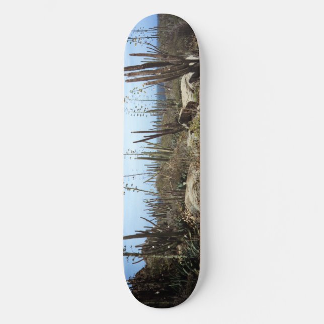 Aruba Landschaft mit Kakteen Skateboard (Vorderseite)