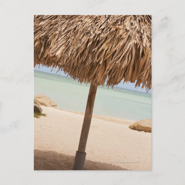 Aruba, palapa auf Strand Postkarte (Vorderseite)