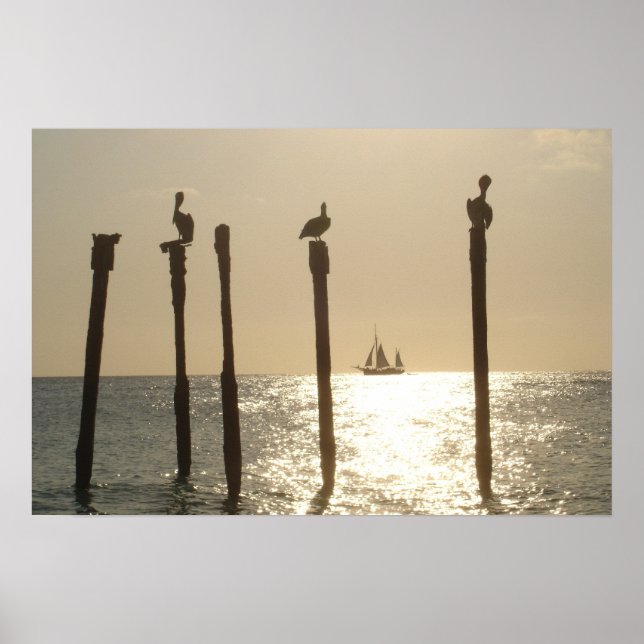 Aruba Poster (Vorne)