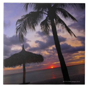 Aruba, Silhouette der Palme und des palapa an Fliese