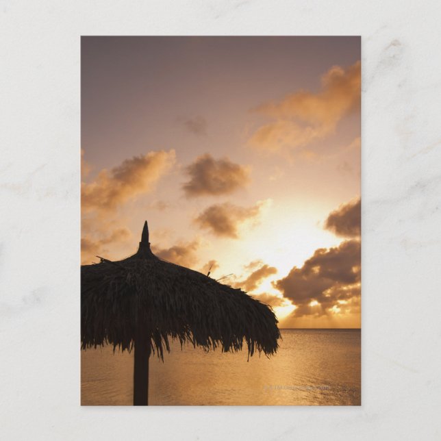 Aruba, Silhouette Palapa am Strand bei Sonnenunter Postkarte (Vorderseite)