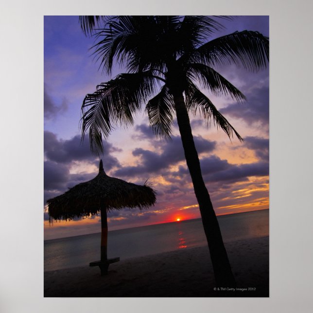 Aruba, Silhouette von Palmen und Palapa Poster (Vorne)