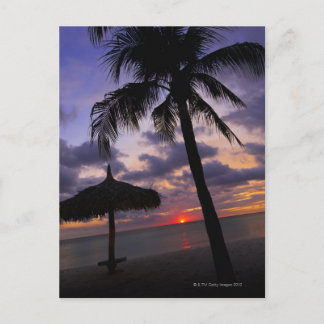 Aruba, Silhouette von Palmen und Palapa Postkarte