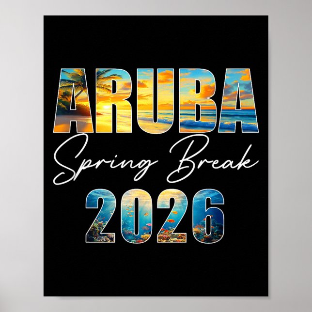 Aruba Spring Break 2026 Summer Vacation Beach  Poster (Vorne)