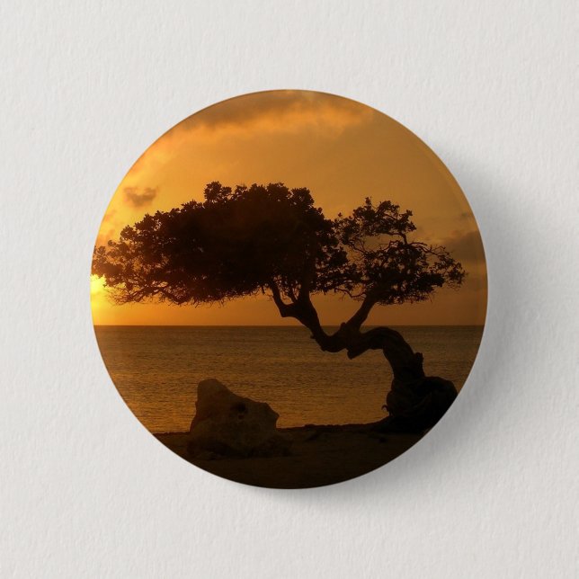 Aruba Sunset Divi Divi Tree Button (Vorderseite)
