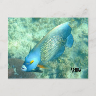 Aruba Unterwasser-Foto Postkarte