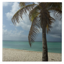 Aruban Beach I Beautiful Nature Szene Fliese