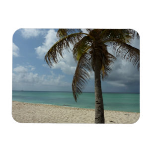 Aruban Beach I Beautiful Nature Szene Magnet