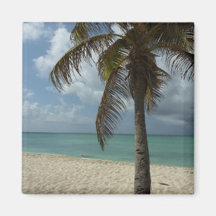 Aruban Beach I Beautiful Nature Szene Magnet