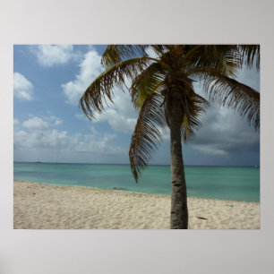 Aruban Beach I Beautiful Nature Szene Poster