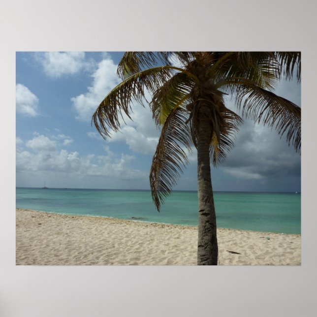 Aruban Beach I Beautiful Nature Szene Poster (Vorne)