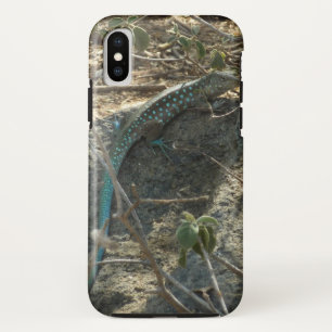 Aruban Whiptail Lizard Tropische Tierfotografie Case-Mate iPhone Hülle
