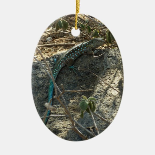 Aruban Whiptail Lizard Tropische Tierfotografie Keramikornament (Vorne)