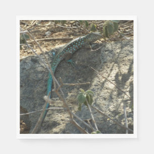 Aruban Whiptail Lizard Tropische Tierfotografie Serviette