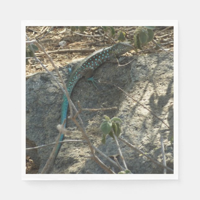 Aruban Whiptail Lizard Tropische Tierfotografie Serviette (Vorderseite)