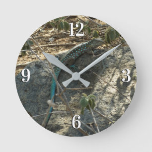 Arubanischer Peitschen-Schwanz Echsen Tropische Ti Runde Wanduhr