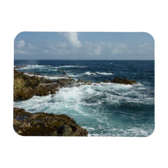 Arubas Felsküste und blauer Ozean Magnet (Horizontal)