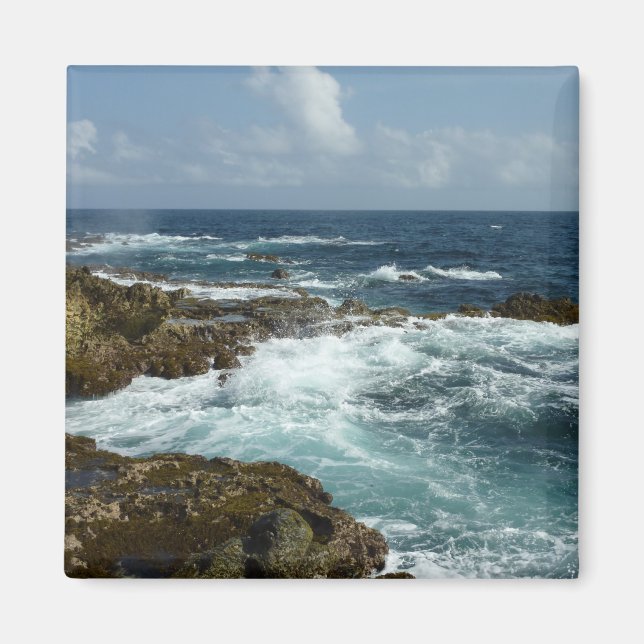 Arubas Felsküste und blauer Ozean Magnet (Vorne)