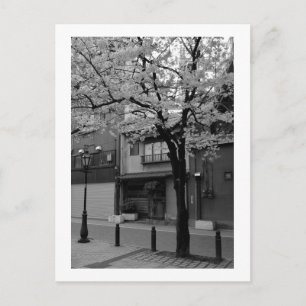 Asakusa im Frühling: Tokio, Japan Postkarte