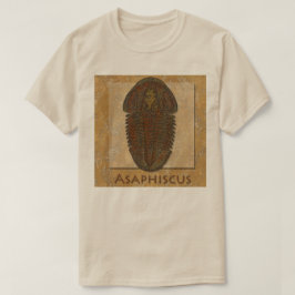 Asaphiscus Fossil Trilobit T-Shirt